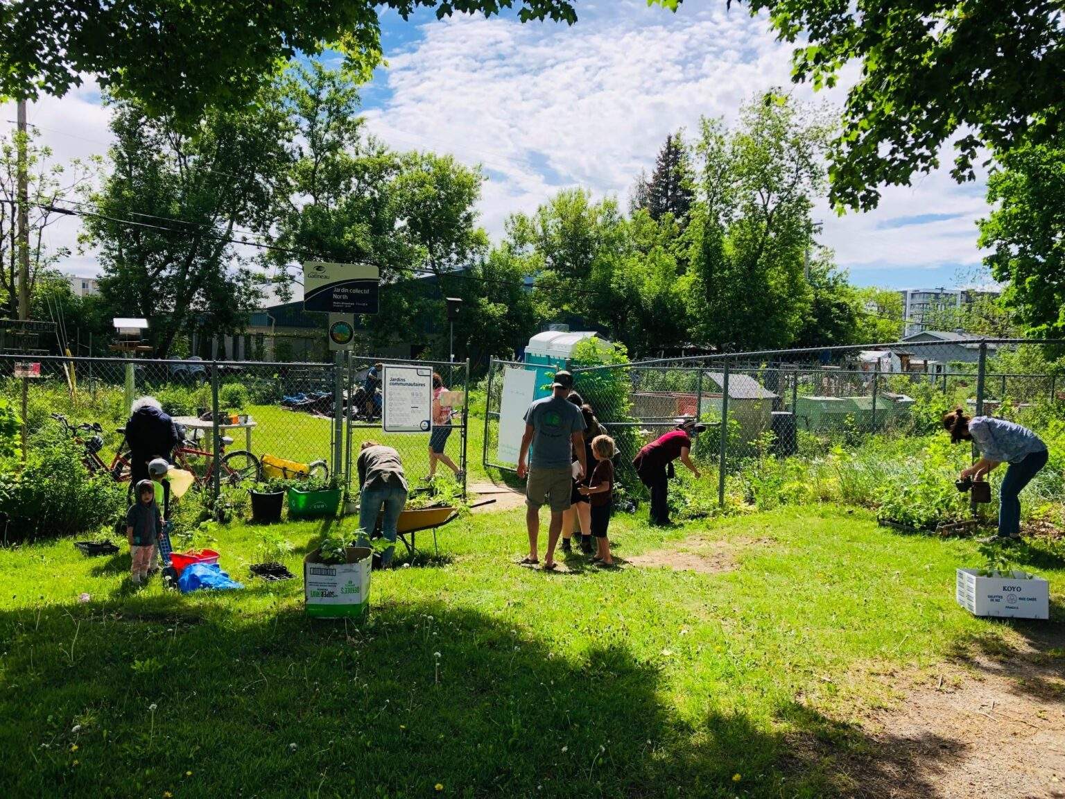 Gatineau Community Garden Project Struggles Residents The friction between vision and bureaucracy