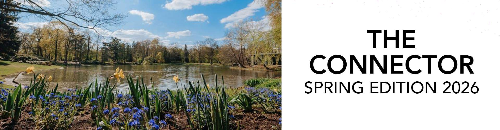 Spring QCNA THE CONNECTOR